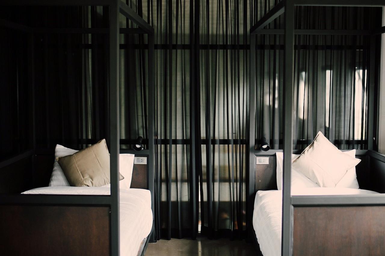 The Tree Sleep And Space Trang Bagian luar foto